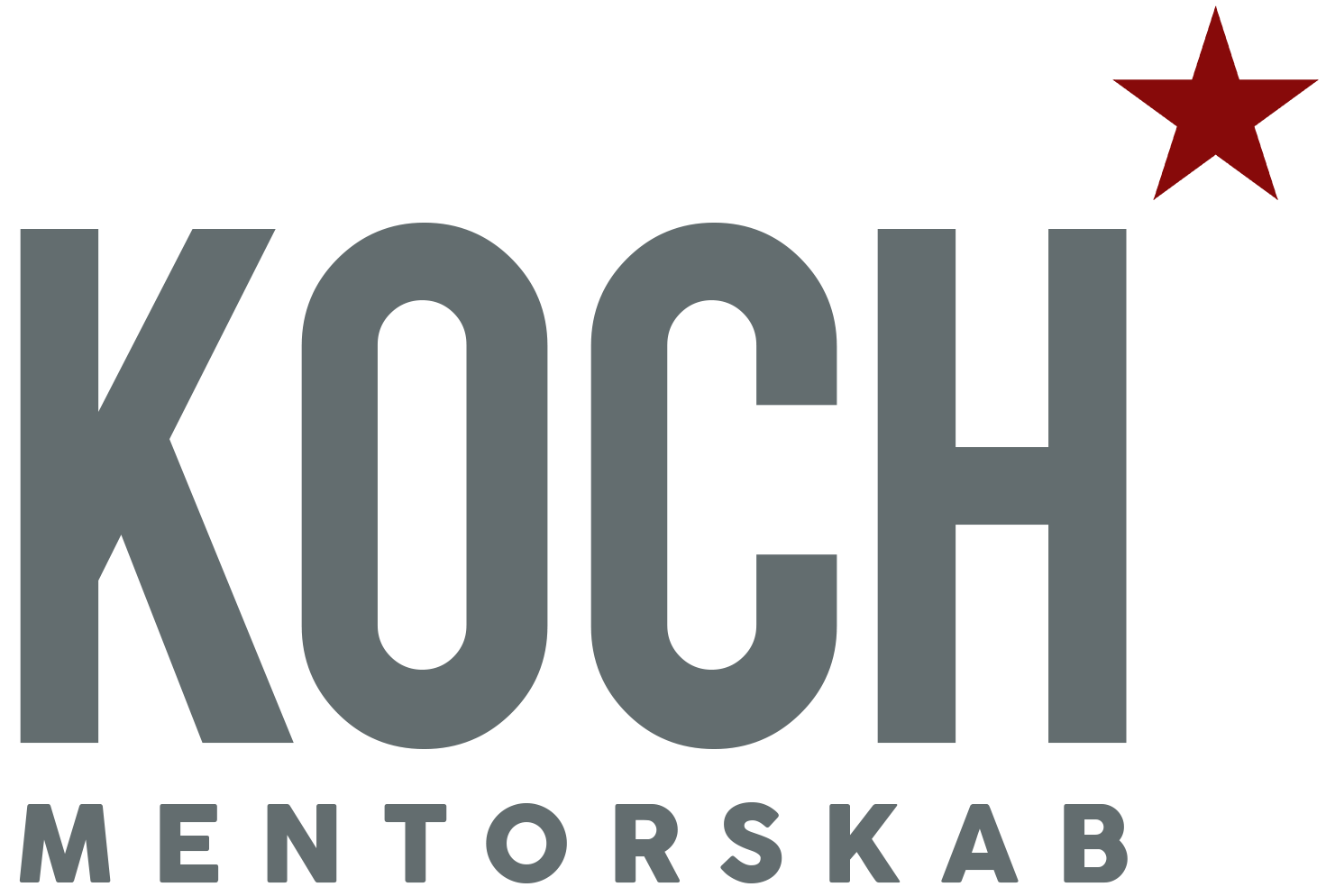 kochmentorskab